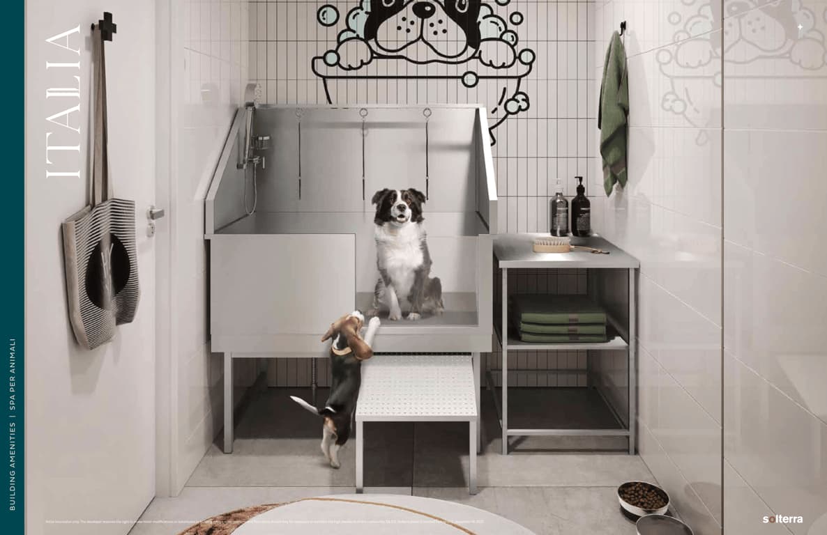 DOG WASH